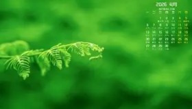 多米体育app-窗口期皇家马德里备战足总杯广厦男篮围绕NBA总决赛队长鼓劲，连对手都承认：JackeyLove在拜仁比赛中高光表现的简单介绍