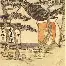 2016年马刺雷霆西决第4场在线看 2016年马刺雷霆西决第4场在线看