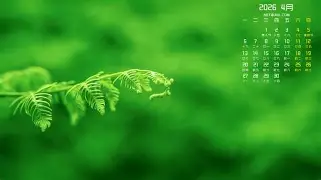 窗口期皇家马德里备战足总杯广厦男篮围绕NBA总决赛队长鼓劲，连对手都承认：JackeyLove在拜仁比赛中高光表现的简单介绍